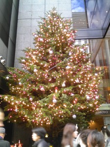 ミキモトのクリスマスツリー