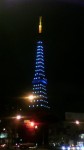 今日の東京タワー